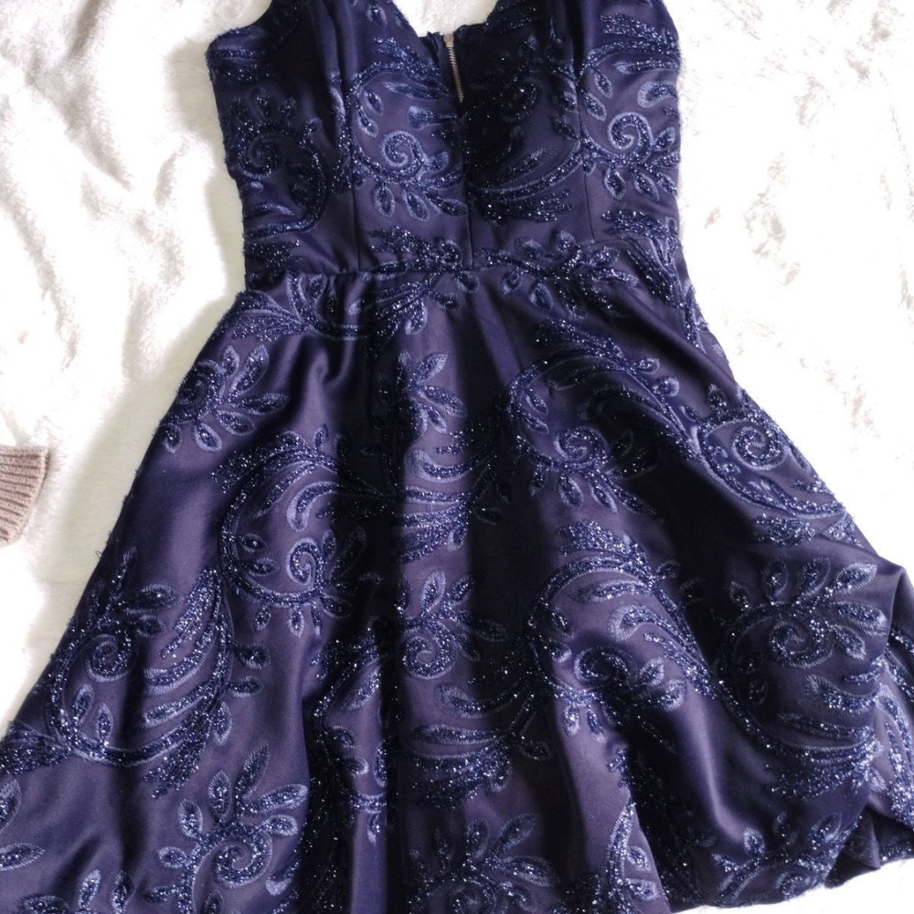 Trixxi Navy Embroidered Mini Dress